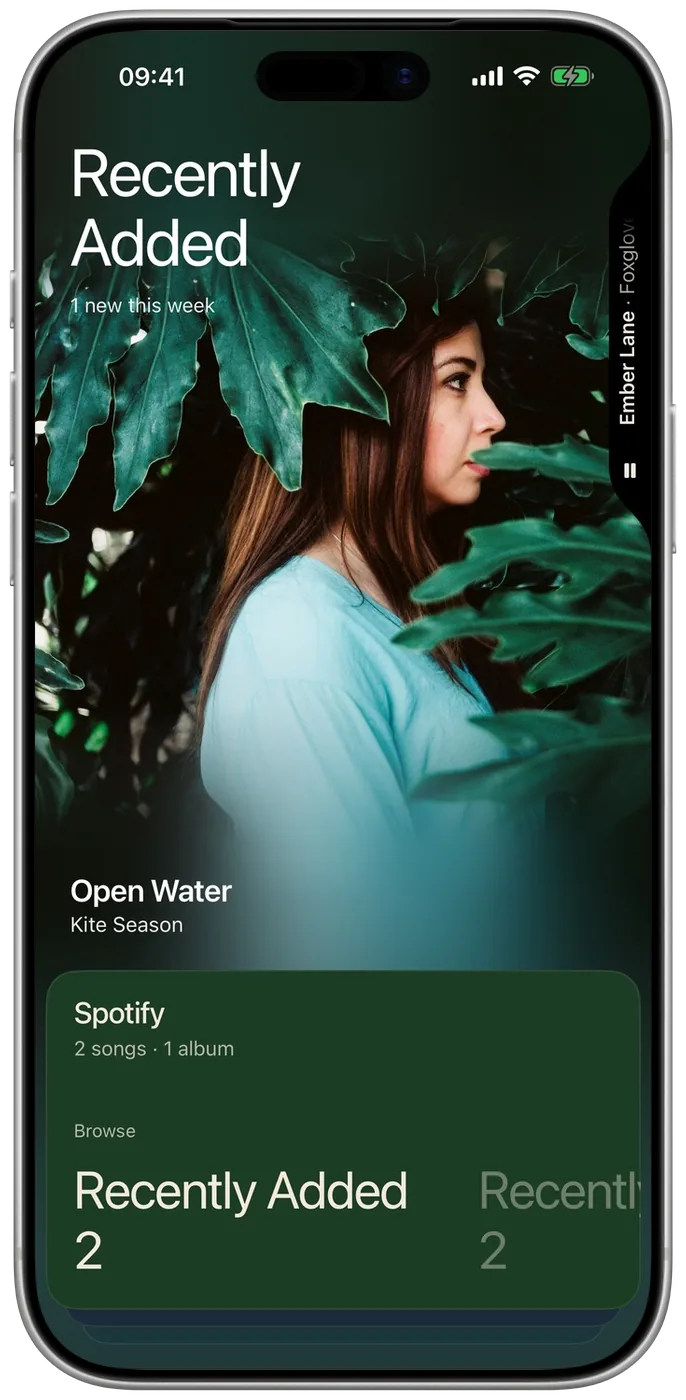 The library's Spotify card, in Spotify's green